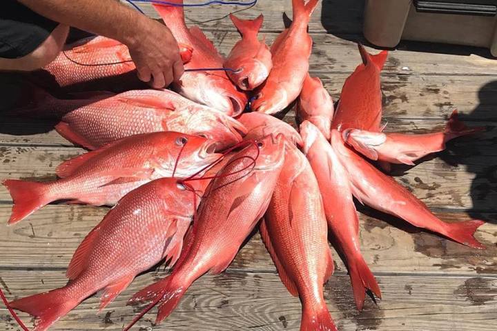 a man holding a fish