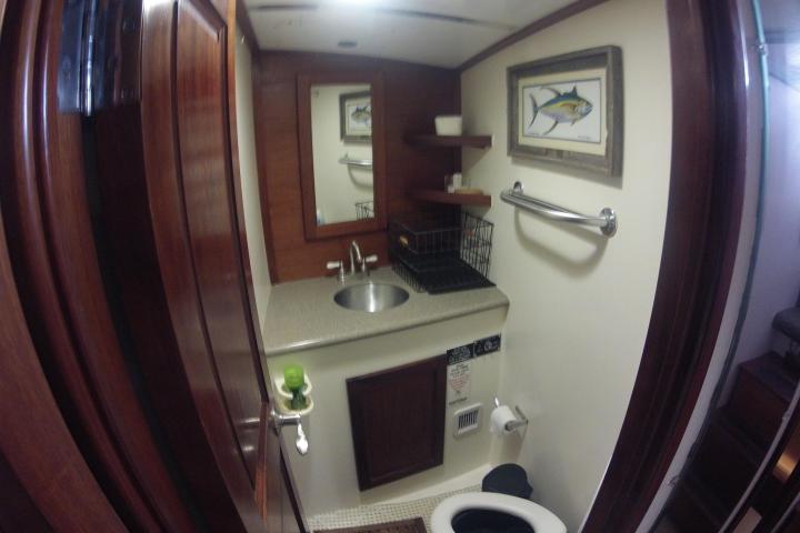 a sink sitting under a mirror