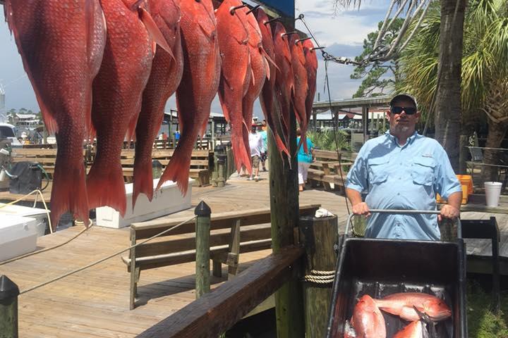 a person holding a hot dog on a grill