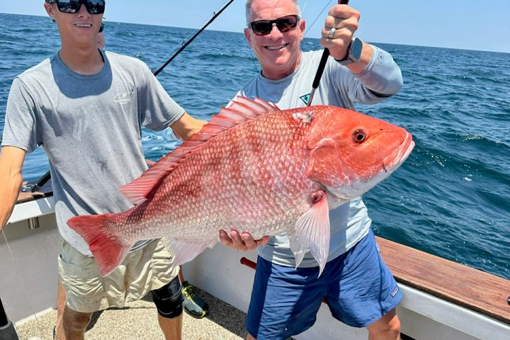 a person holding a fish in the water