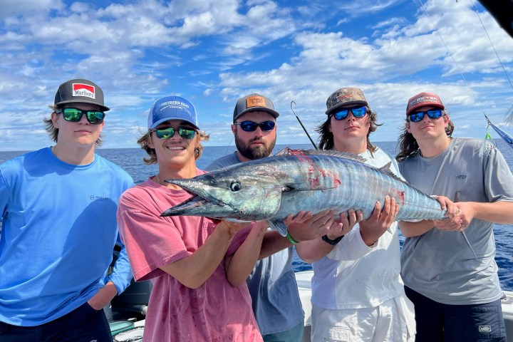 a person holding a fish
