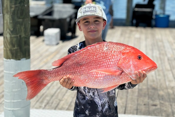 a person holding a fish