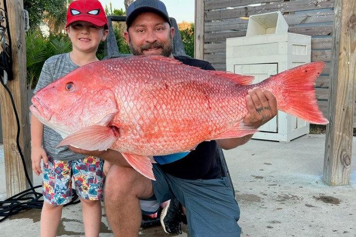 a young boy holding a fish