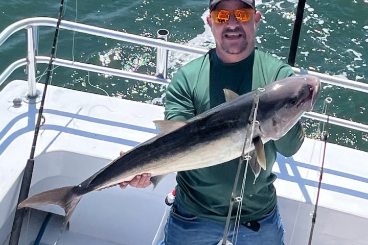 a person holding a fish on a boat