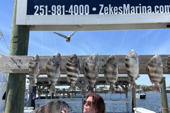 a person holding a sign