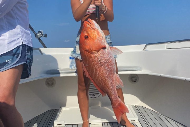 a group of people in a pool
