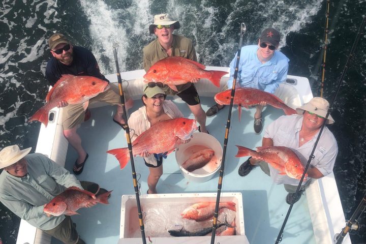 a group of people riding skis on a snowy surface