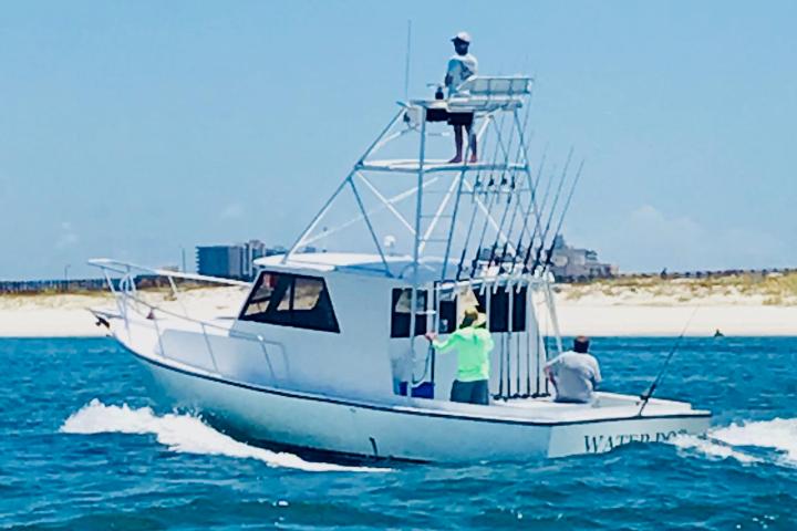 a blue and white boat sitting next to a body of water