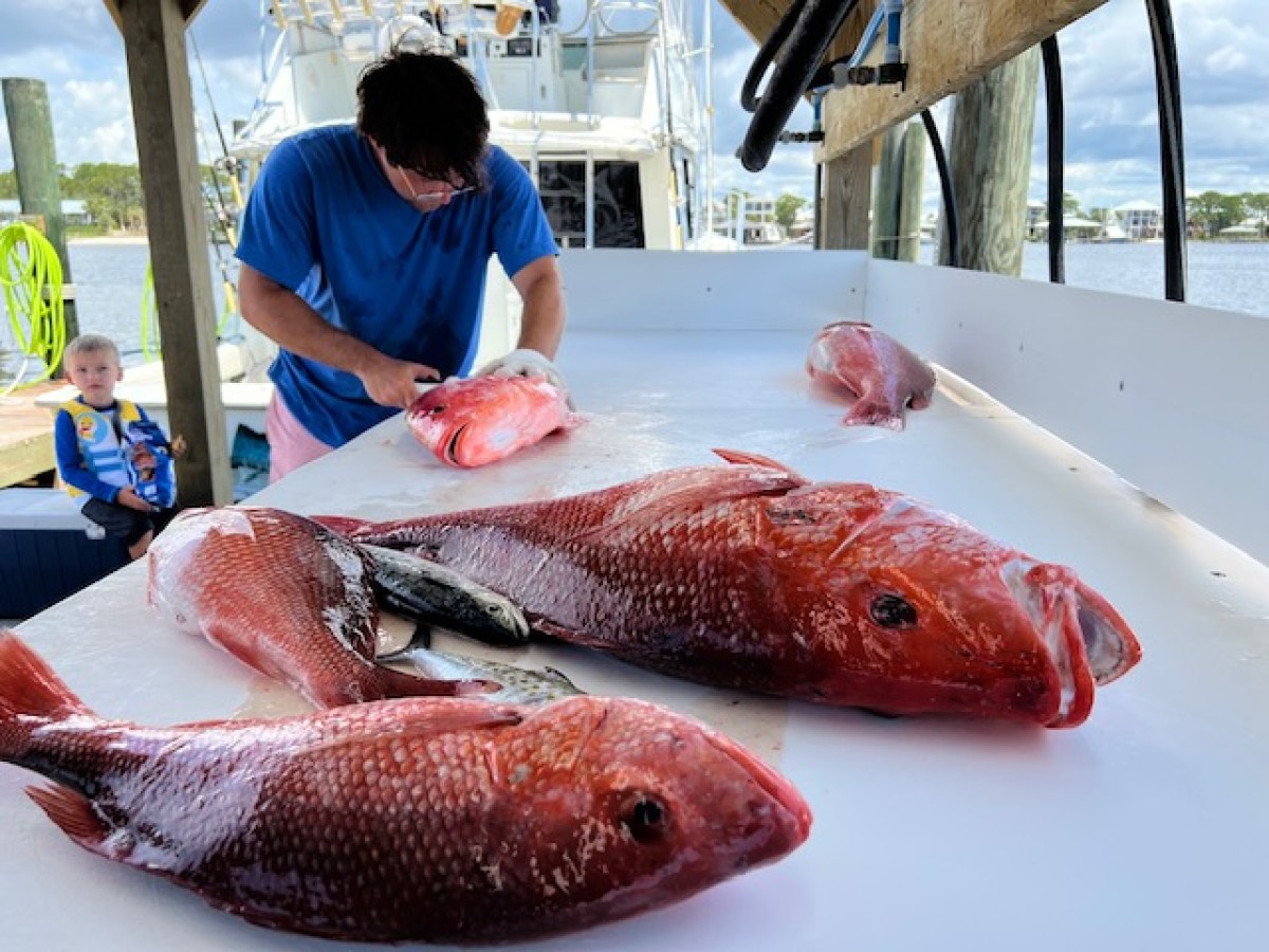 a person holding a fish