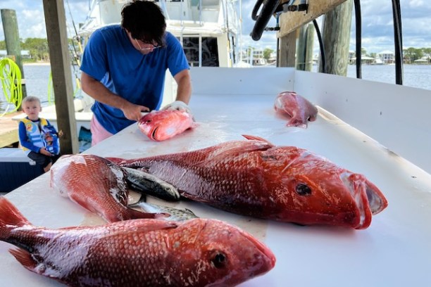 a person holding a fish
