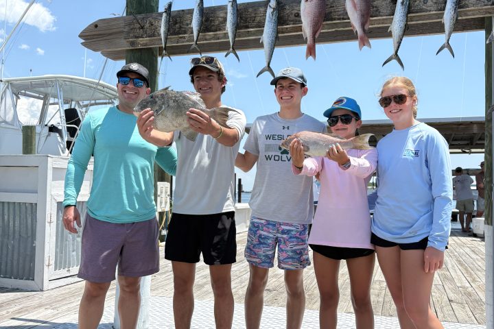 Group of people at marina with freshly caught fish displayed on board.